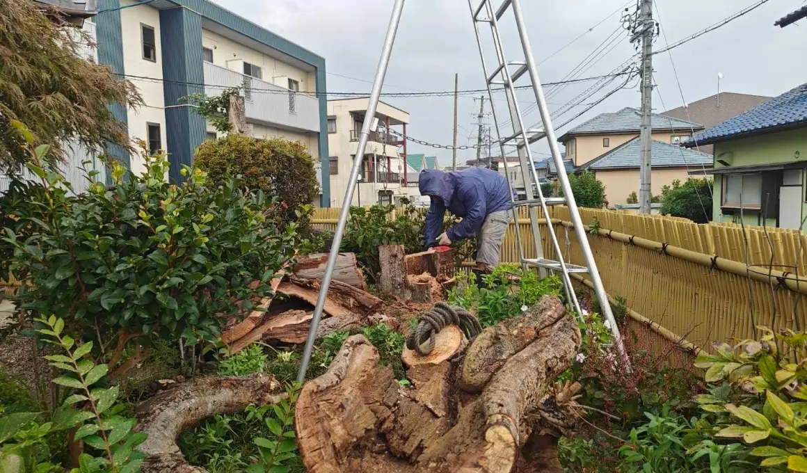 さしすせ掃除のイメージ写真